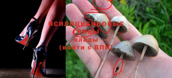 ешки Алексеевка