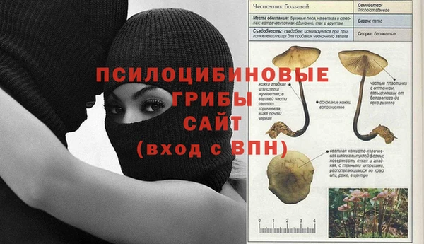 ешки Алексеевка