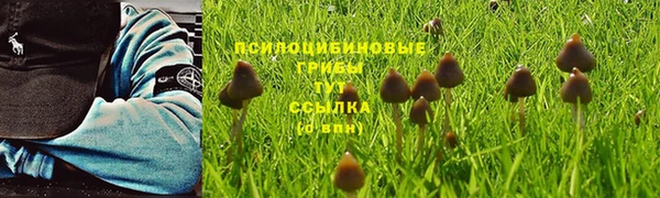 ешки Алексеевка