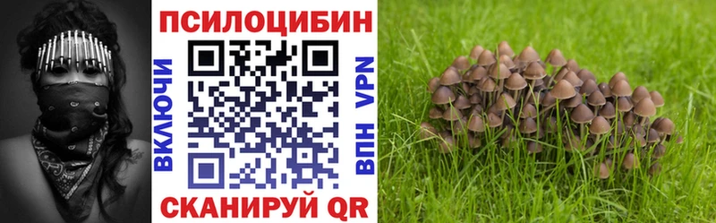 Галлюциногенные грибы Psilocybine cubensis Гвардейск